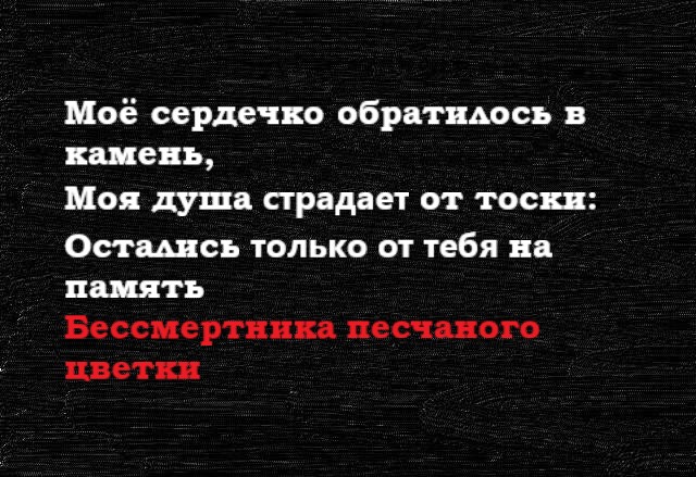 Альтернативная поэзия из пабликов ВКонтакте