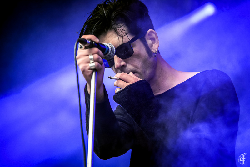 Golden Apes, NCN festival