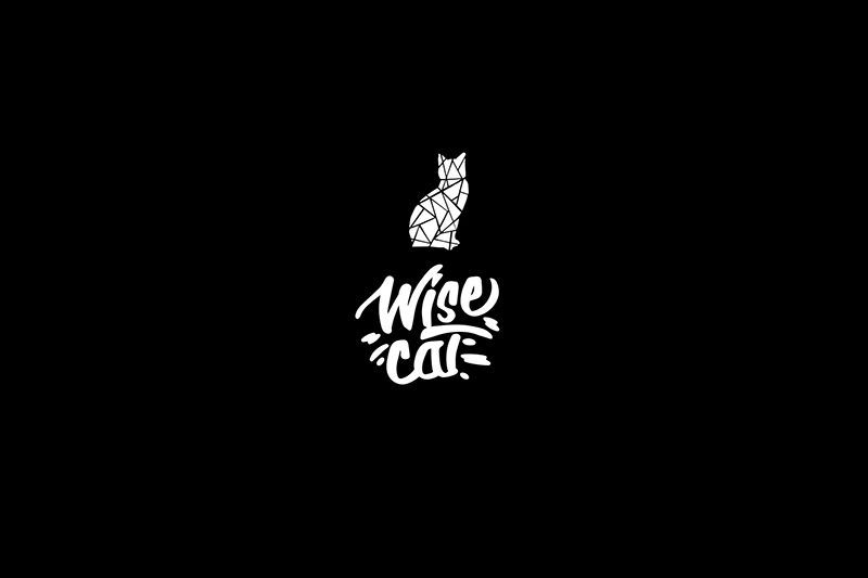 WISECAT представил второй студийный альбом «INSIDE»