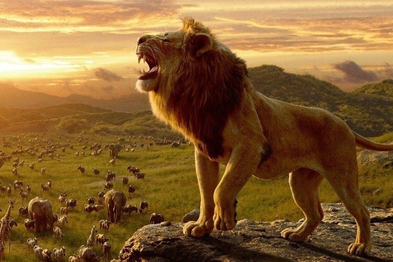 «Король Лев»: а стоило ли?
