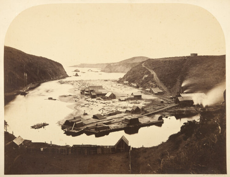 albion_lumber_company_mill_albion_bay_mendocino_county1