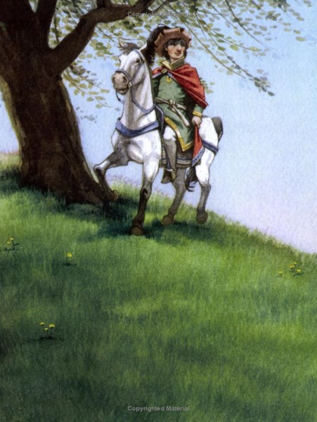 andersen