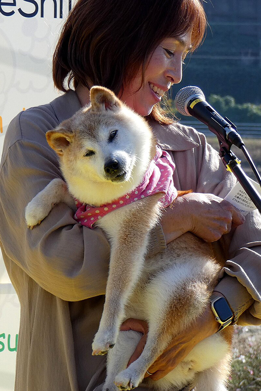 kabosu_and_atsuko_sato_2023-11-02_1