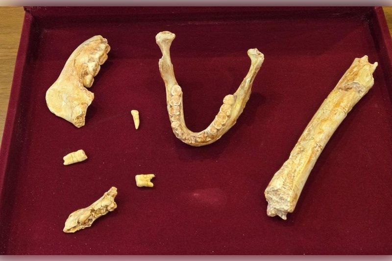 © Александр Елистратов/ ТАСС