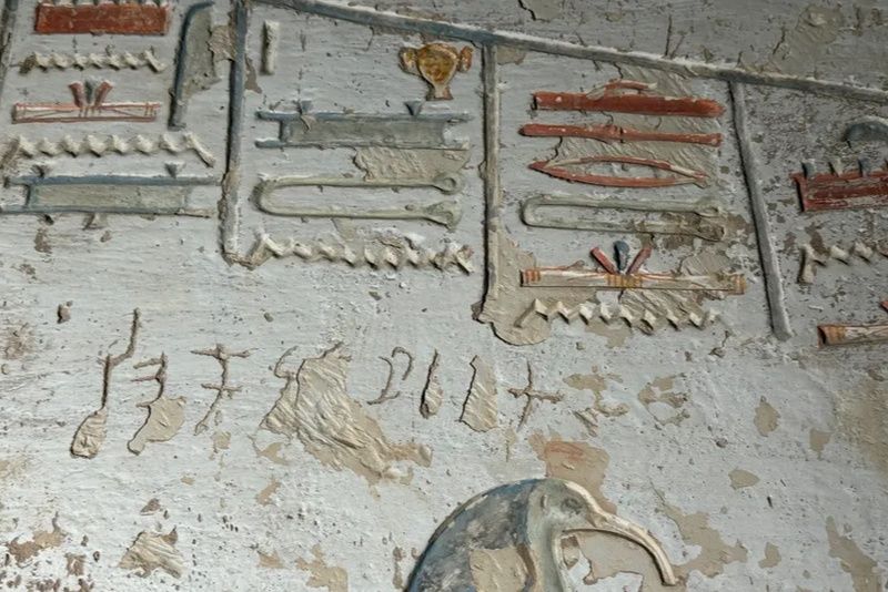 wirestock / freepik.com