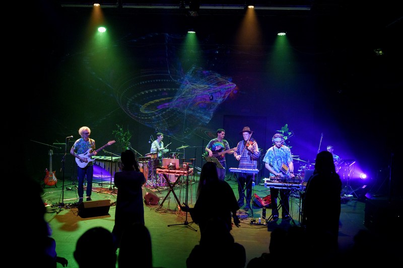 tlfp_ns2-138_resized