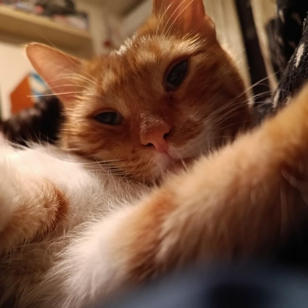 zecompressorz_gorod_nochnoi_3