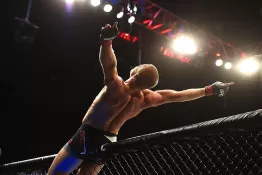 История развития MMA в спорте