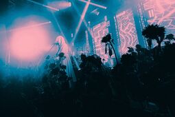 subcultblogphotoblog