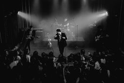 subcultblogphotoblog