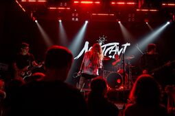 subcultblogphotoblog