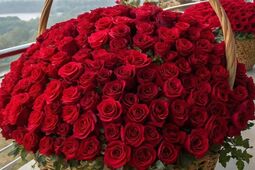 subcultblogphotoblog